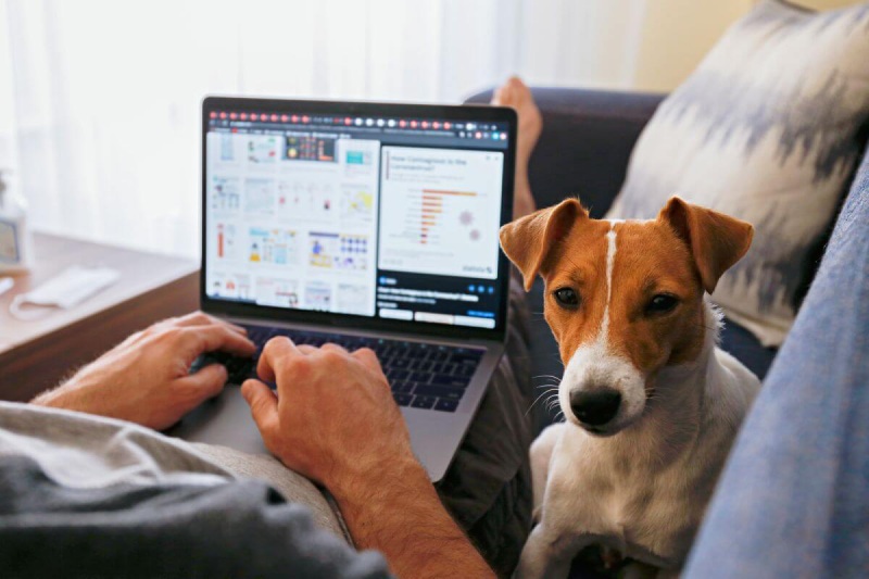 Work From Home Policy for Western North Carolina Businesses